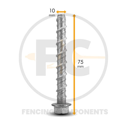 Concrete Hex Screw Bolt - Galvanised (Sold per Box)