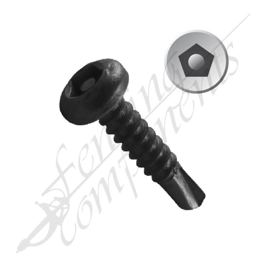Box of 250 Pentaforce 12G x 25mm black powder coated tamper-proof tek screws for steel fencing