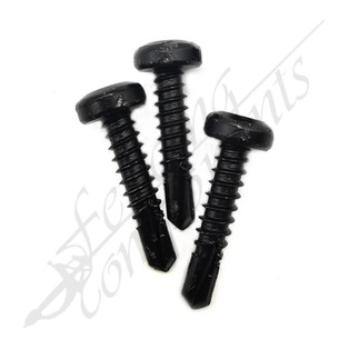 PENTAFORCE 12Gx25mm Tek Blk - Tamper Proof Security Screw (250/Box)